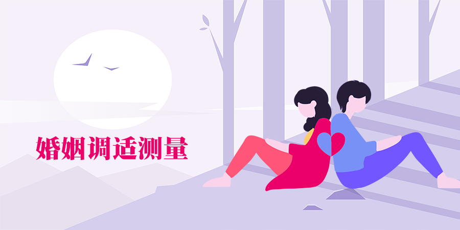 抑郁狀態(tài)問卷(DSI)