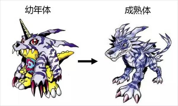 嘴上說要節(jié)制，身體卻誠實得很
