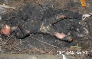 犯罪心理學(xué)講堂：一起殺人奸尸案的淺析