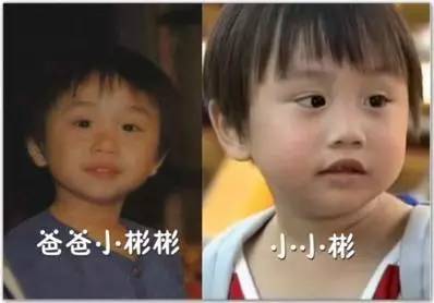 2歲出道，替父還800萬(wàn)房貸：被父親寄生13年后，他還好嗎？