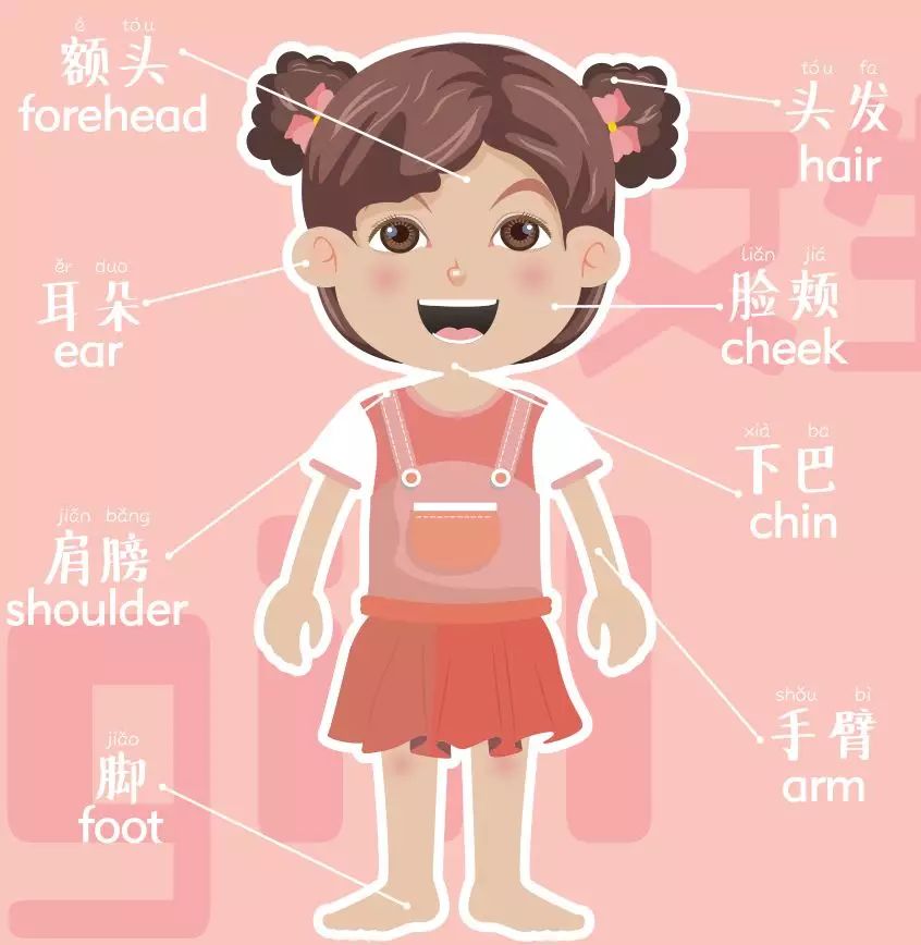 兒童性教育、安全教育如何啟蒙？