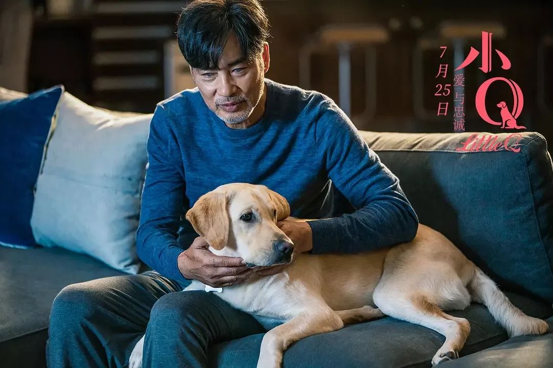 《小Q》：沒有人是一座孤島