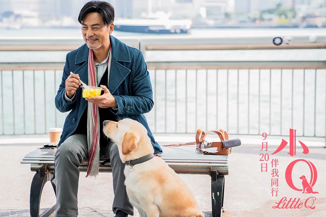 《小Q》：沒有人是一座孤島