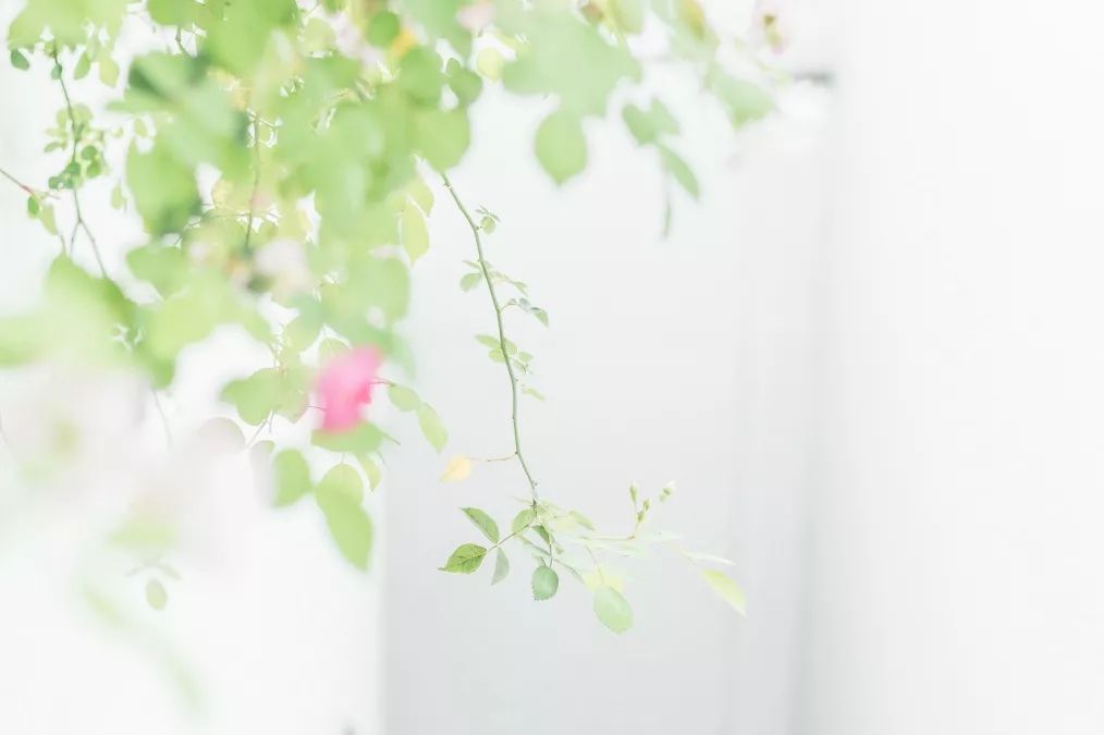 做人，學(xué)會贏更要學(xué)會輸