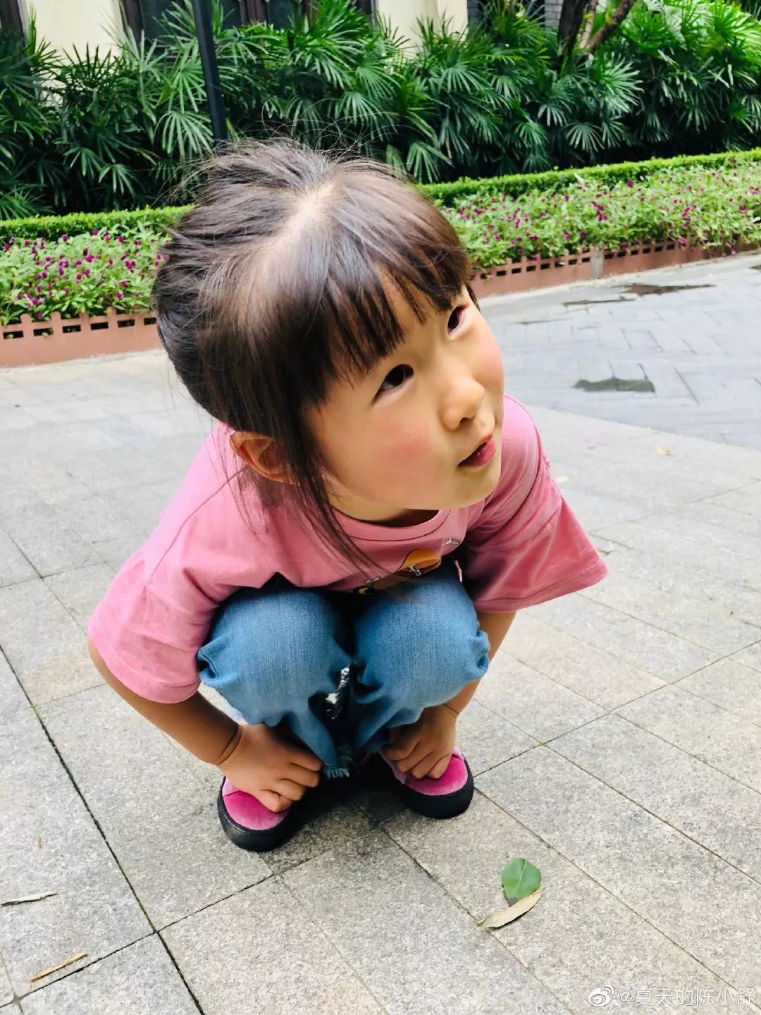 這位校長(zhǎng)的做法，引發(fā)了我對(duì)利用心理學(xué)經(jīng)典效應(yīng)育兒的興趣