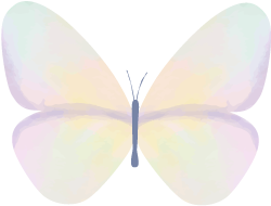 這位校長(zhǎng)的做法，引發(fā)了我對(duì)利用心理學(xué)經(jīng)典效應(yīng)育兒的興趣