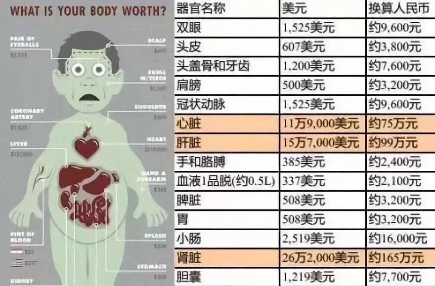 舒淇宣布暫告演員生涯：人到中年，錢不是最重要的
