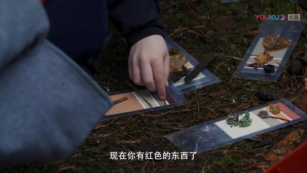 焦慮的父母，能不能找到完美的教育