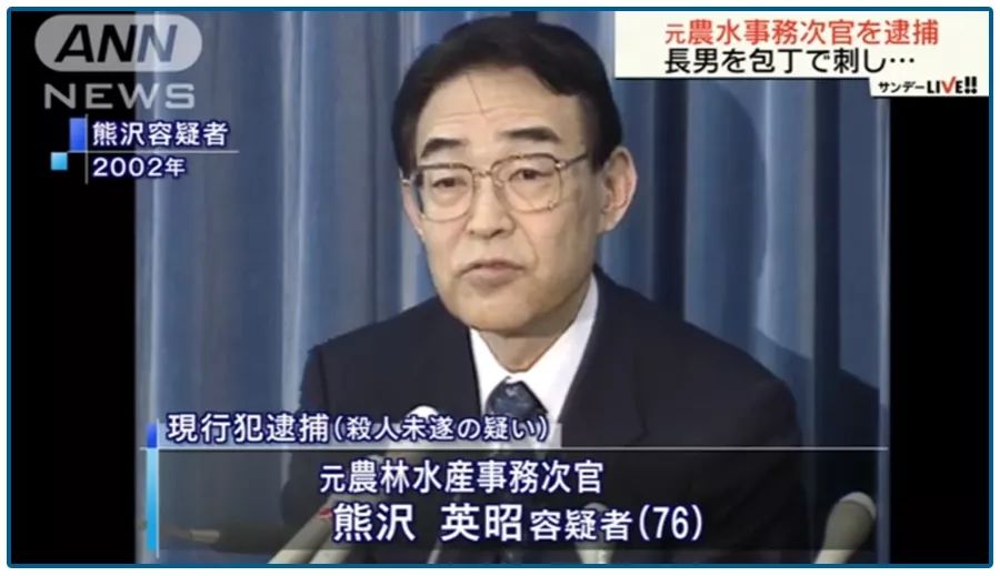 那個76歲的老人，親手殺了44歲的兒子