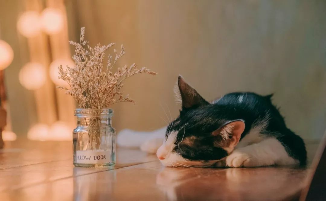 心理學：用力過猛，總會兩手空空