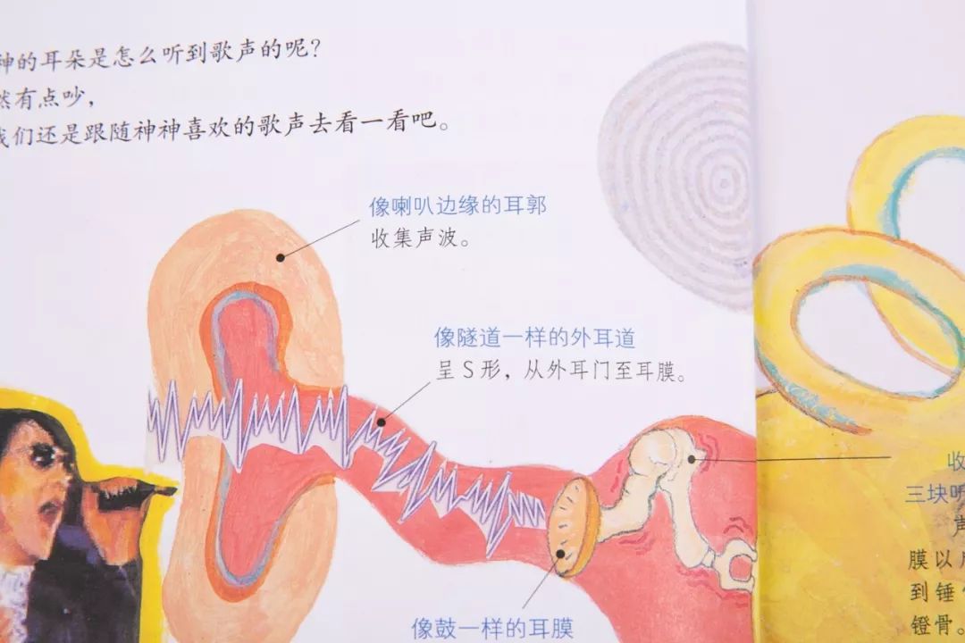 如何滿(mǎn)足孩子的求知欲