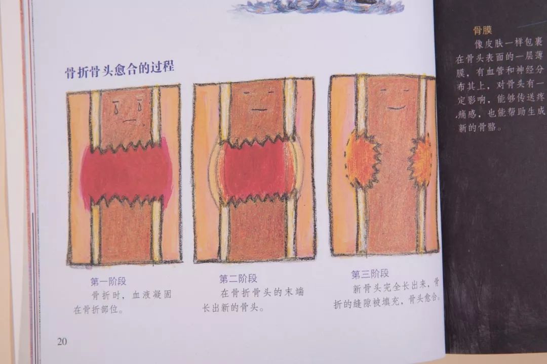 如何滿(mǎn)足孩子的求知欲