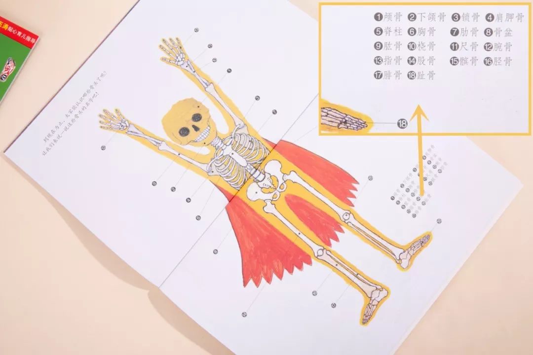 如何滿(mǎn)足孩子的求知欲