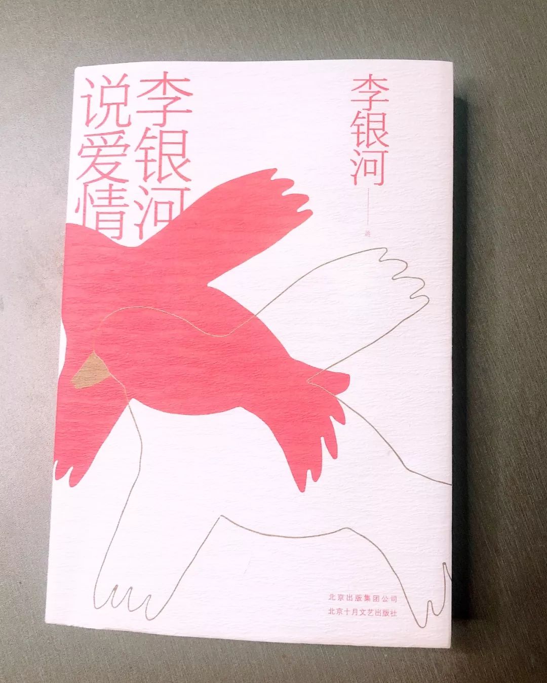 愛真的存在嗎？李銀河曾奇峰談婚姻家庭、愛與性