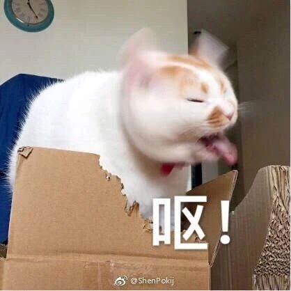 情商訓(xùn)練 | 如何科學(xué)地拍馬屁?