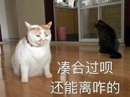 學(xué)心理學(xué)的，怎么一夜暴富？