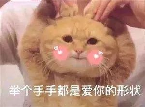 學(xué)心理學(xué)的，怎么一夜暴富？