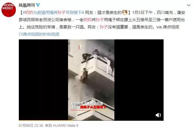 為救貓，奶奶把親孫子吊在5樓外？靠譜是家長(zhǎng)的第一自我修養(yǎng)