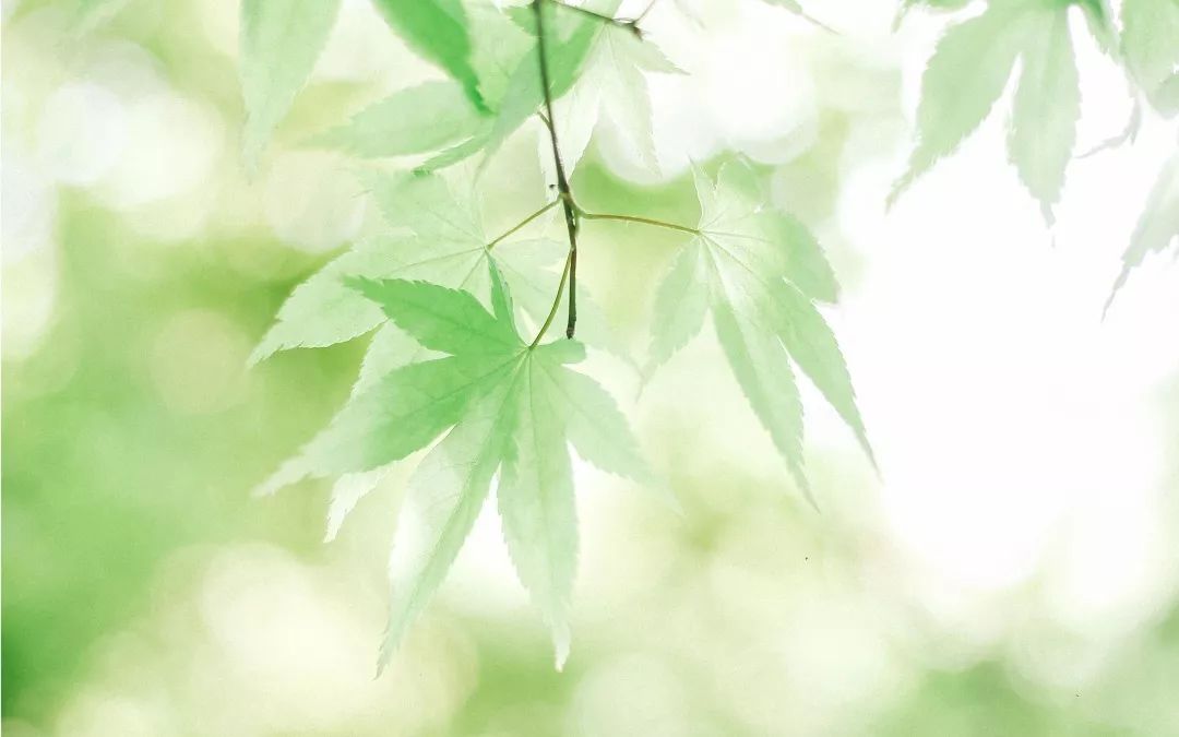 心理學(xué)效應(yīng)在生活中常有發(fā)生，它是什么效應(yīng)呢？