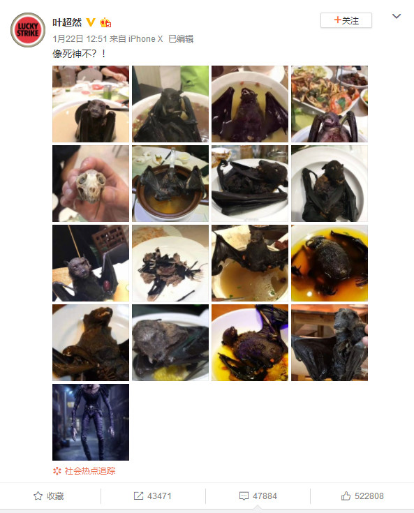 新型肺炎病毒曝光最惡心的一幕：有些人，壞就壞在一張嘴上