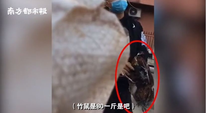 確診老人隱瞞致百余人密切接觸：比病毒更可怕的，是人心