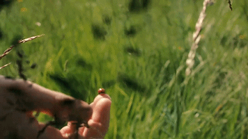 越刷手機(jī)越害怕，越害怕越想刷是一種心理應(yīng)激反應(yīng)