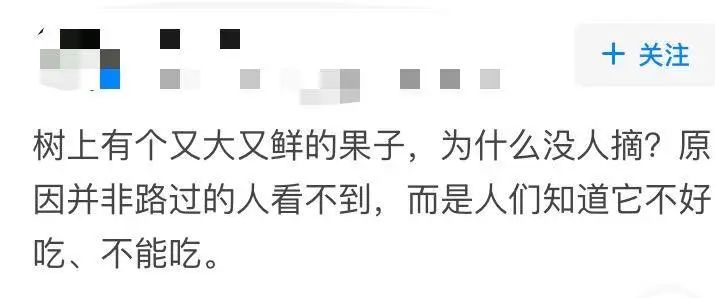 “中國女孩”事件：你的人生，應(yīng)該由你自己支配