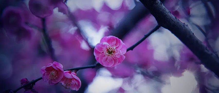 徐凱文：發(fā)現(xiàn)心理咨詢之美