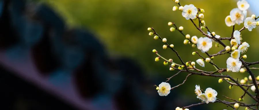 徐凱文：發(fā)現(xiàn)心理咨詢之美