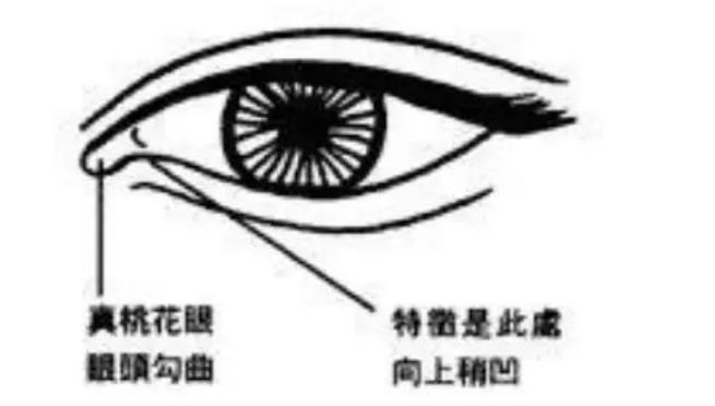 佟麗婭：摧毀婚姻的從來都不是出軌