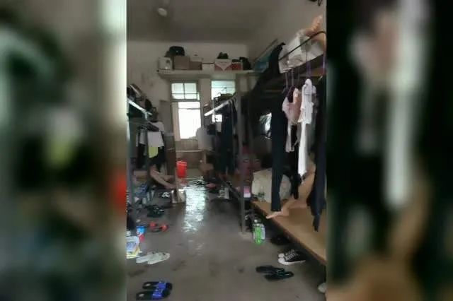 男人來自地球，女人來自地球：兩性差異的本質(zhì)