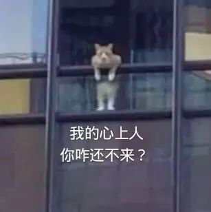 2021年最受男生歡迎的女生類型，你絕對猜不到