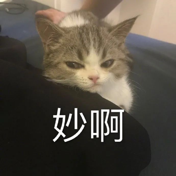 2021年最受男生歡迎的女生類型，你絕對猜不到
