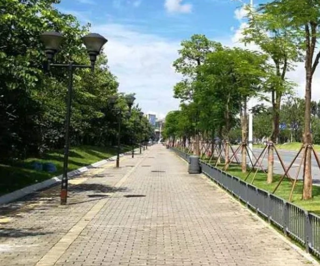 測誰才是你的依靠、心情不好時最想去哪里散步？