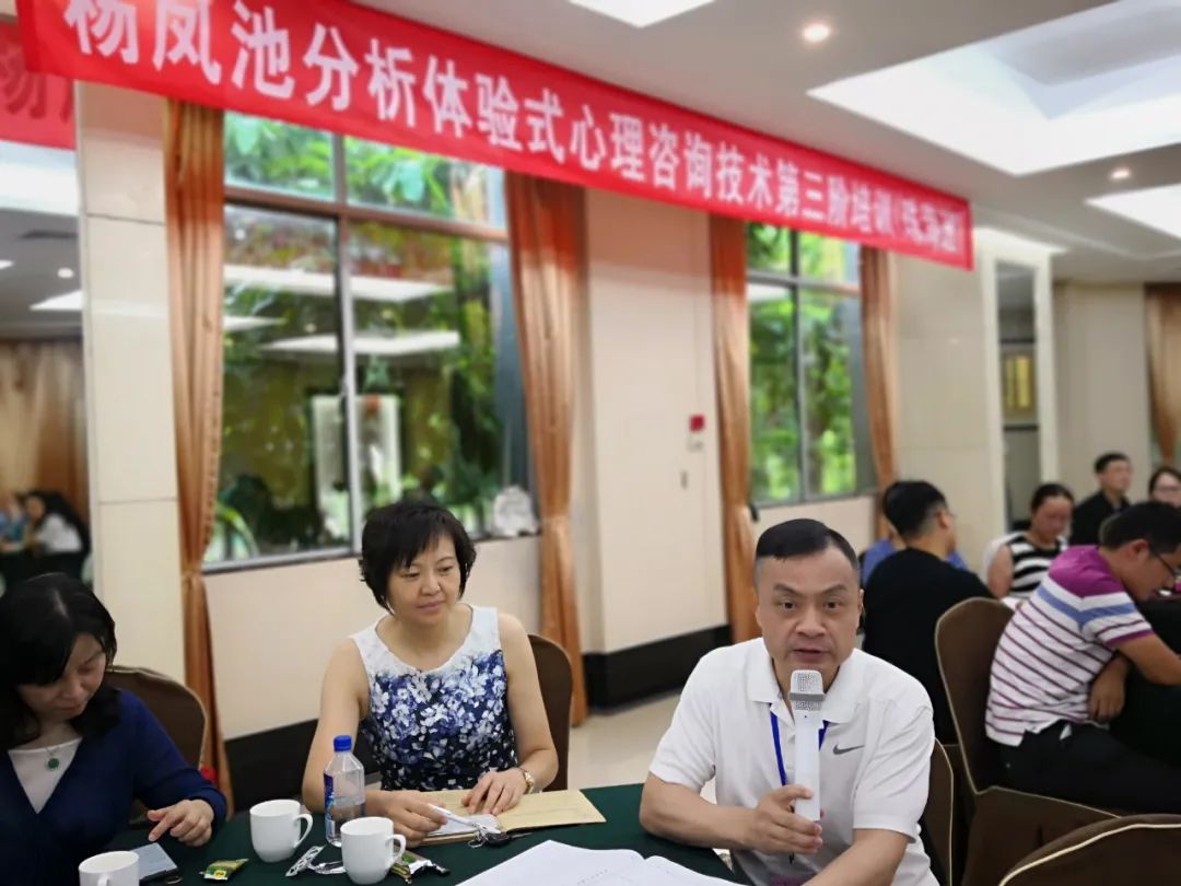 楊鳳池“分析體驗(yàn)式心理咨詢技術(shù)”的感悟