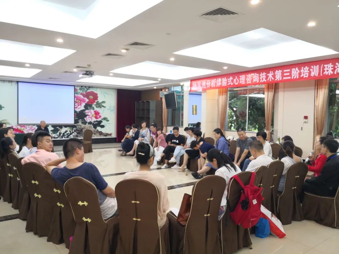楊鳳池“分析體驗(yàn)式心理咨詢技術(shù)”的感悟