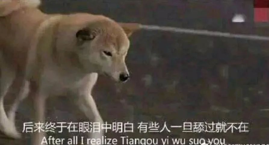 張愛(ài)玲那么懂感情，為什么一生愛(ài)得那么卑微？