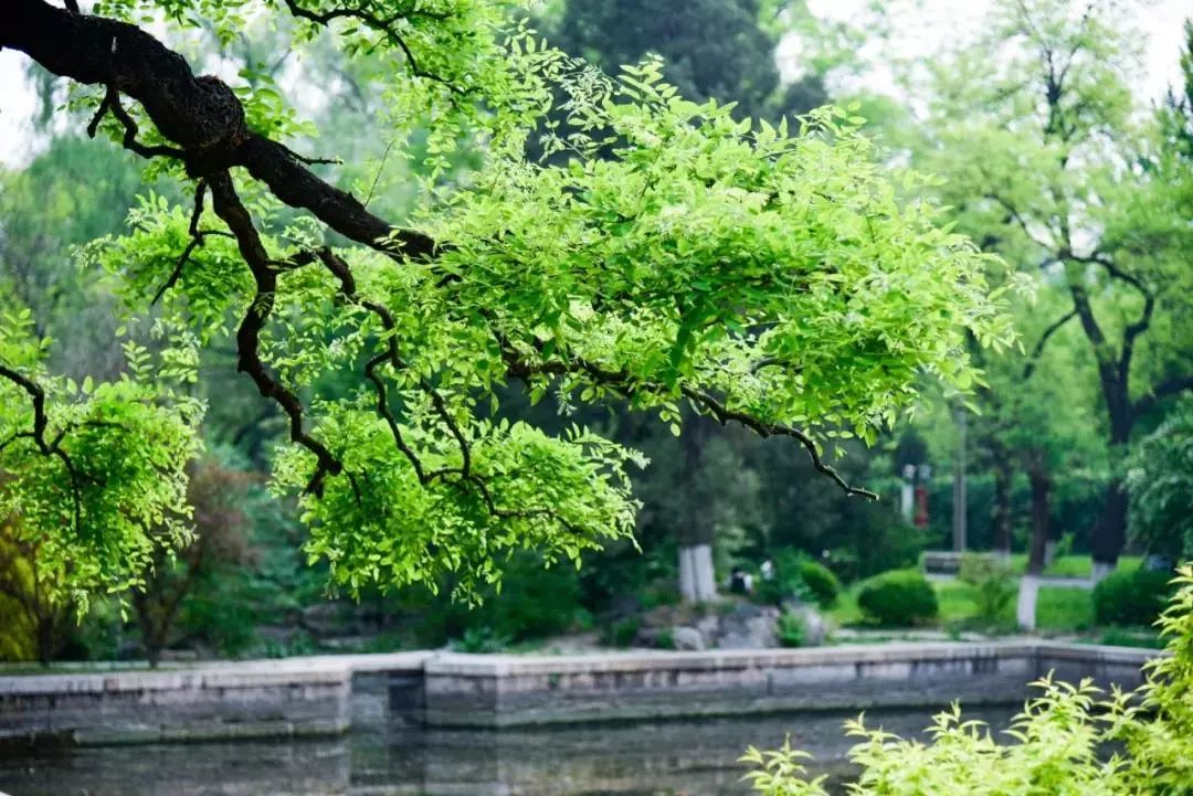 你真的做到大學新生的“自主性”了嗎？