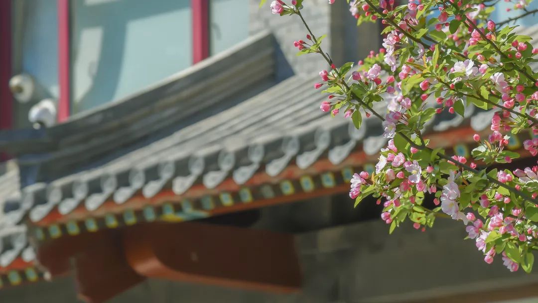 你真的做到大學新生的“自主性”了嗎？