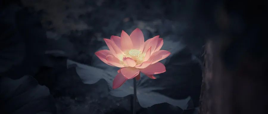 心理咨詢的個人體驗與佛道修煉的境界升化