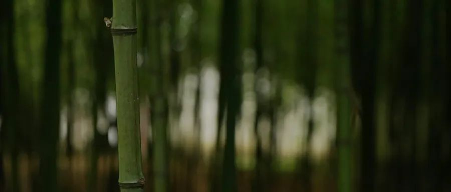 如何用敘事治療進(jìn)行情緒管理