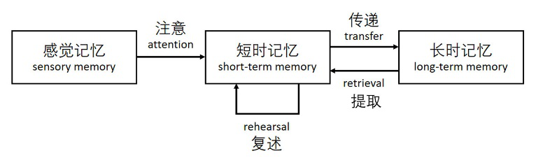 你不是天生健忘，只是記憶力用錯(cuò)了方向