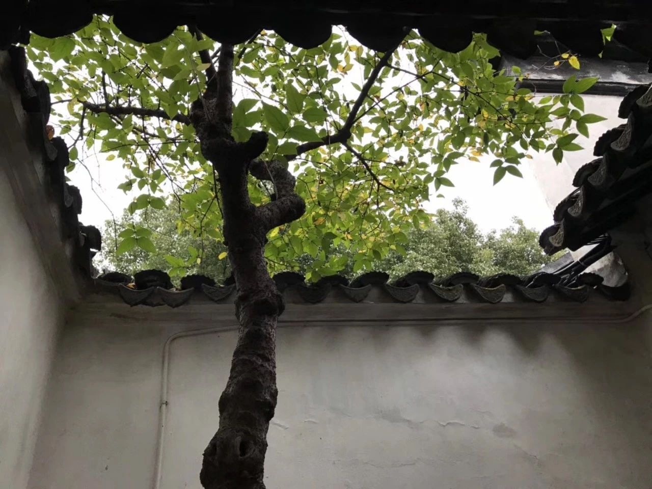 心理學隱喻小故事，隱喻故事治療的因素
