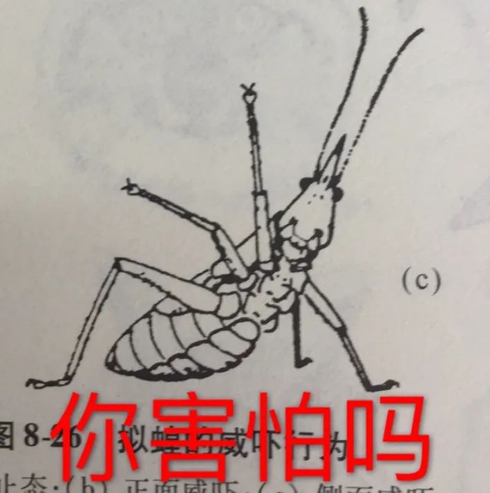 曼德拉效應(yīng)是什么？曼德拉效應(yīng)的產(chǎn)生原因
