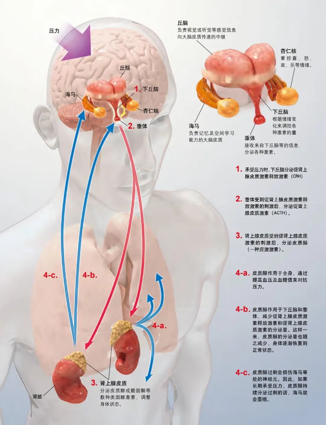 長期心情低落，我是不是抑郁癥了？