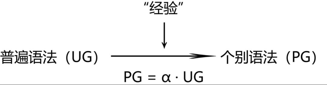 喬姆斯基的語言學觀點