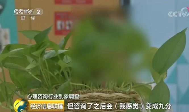 共同維護心理行業(yè)健康發(fā)展_心理所發(fā)表嚴正聲明