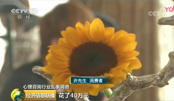 共同維護心理行業(yè)健康發(fā)展_心理所發(fā)表嚴正聲明