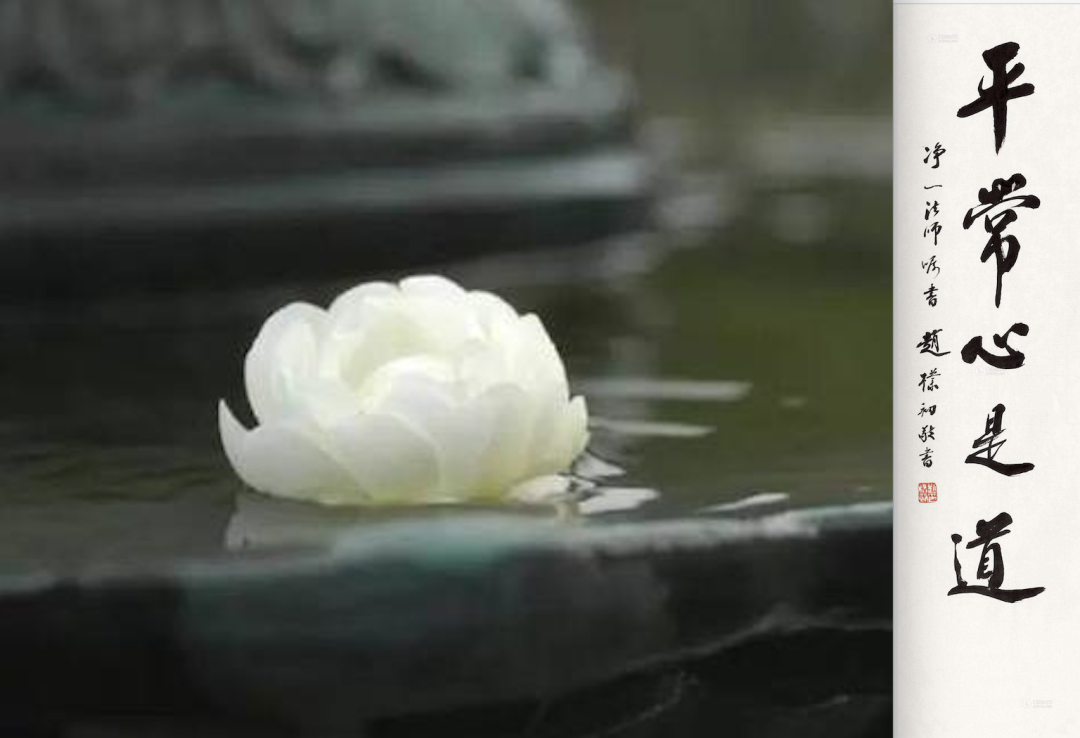 超人、平常心、抑郁癥-關于生命的意義