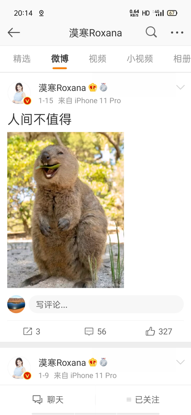 體育明星家暴美女妻子和岳母四姨